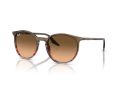 Ray-Ban RB 2204 13953B 54 Férfi, Női napszemüveg