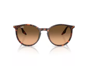 Ray-Ban RB 2204 14293B 51 Férfi, Női napszemüveg