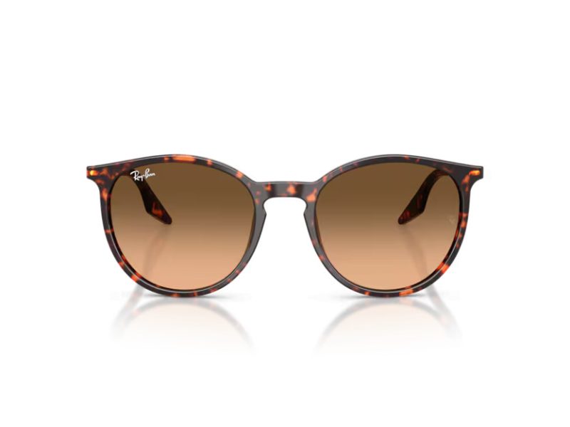 Ray-Ban RB 2204 14293B 51 Férfi, Női napszemüveg
