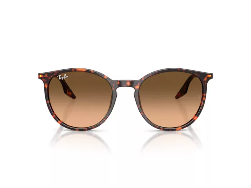 Ray-Ban RB 2204 14293B 54 Férfi, Női napszemüveg