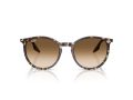Ray-Ban RB 2204 143151 51 Férfi, Női napszemüveg