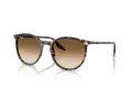 Ray-Ban RB 2204 143151 54 Férfi, Női napszemüveg
