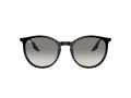 Ray-Ban RB 2204 901/32 51 Férfi, Női napszemüveg