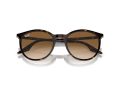 Ray-Ban RB 2204 902/51 51 Férfi, Női napszemüveg