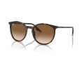 Ray-Ban RB 2204 902/51 51 Férfi, Női napszemüveg