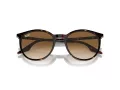 Ray-Ban RB 2204 902/51 54 Férfi, Női napszemüveg