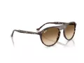 Ray-Ban RB 2215 143151 56 Férfi, Női napszemüveg
