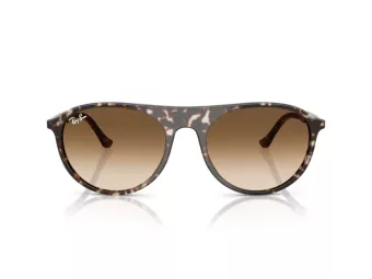 Ray-Ban RB 2215 143151 59 Férfi, Női napszemüveg