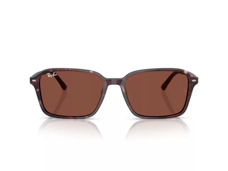 Ray-Ban Raimond RB 2231 1416C5 58 Férfi, Női napszemüveg