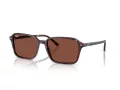 Ray-Ban Raimond RB 2231 1416C5 58 Férfi, Női napszemüveg