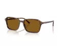 Ray-Ban Raimond RB 2231 141833 58 Férfi, Női napszemüveg
