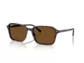 Ray-Ban Raimond RB 2231 902/57 58 Férfi, Női napszemüveg