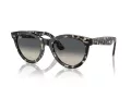 Ray-Ban Wayfarer Way RB 2241 133371 51 Férfi, Női napszemüveg