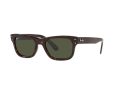 Ray-Ban Mr Burbank RB 2283 902/31 52 Férfi napszemüveg