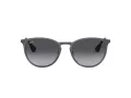 Ray-Ban Erika Metal RB 3539 192/8G 54 Női napszemüveg