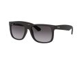 Ray-Ban Justin RB 4165 601/8G 51 Férfi napszemüveg