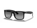 Ray-Ban Justin RB 4165 622/T3 55 Férfi napszemüveg