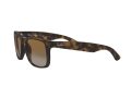 Ray-Ban Justin RB 4165 865/T5 55 Férfi napszemüveg