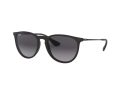Ray-Ban Erika RB 4171 622/8G 54 Női napszemüveg