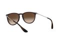 Ray-Ban Erika RB 4171 631513 54 Női napszemüveg