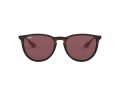 Ray-Ban Erika RB 4171 639175 54 Női napszemüveg