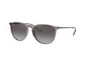 Ray-Ban Erika RB 4171 65138G 54 Női napszemüveg
