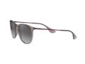 Ray-Ban Erika RB 4171 65138G 54 Női napszemüveg