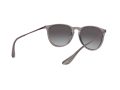 Ray-Ban Erika RB 4171 65138G 54 Női napszemüveg