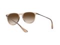 Ray-Ban Erika RB 4171 651413 54 Női napszemüveg