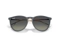 Ray-Ban Erika RB 4171 681311 54 Női napszemüveg