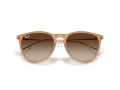 Ray-Ban Erika RB 4171 681413 54 Női napszemüveg