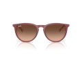 Ray-Ban Erika RB 4171 6815A5 54 Női napszemüveg