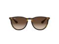 Ray-Ban Erika RB 4171 865/13 54 Női napszemüveg