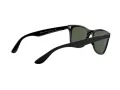 Ray-Ban Wayfarer Liteforce RB 4195 601/71 52 Férfi napszemüveg