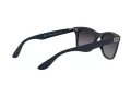 Ray-Ban Wayfarer Liteforce RB 4195 63318G 52 Férfi napszemüveg