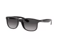 Ray-Ban Andy RB 4202 601/8G 55 Férfi napszemüveg