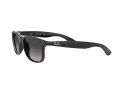 Ray-Ban Andy RB 4202 601/8G 55 Férfi napszemüveg