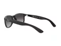 Ray-Ban Andy RB 4202 601/8G 55 Férfi napszemüveg