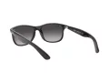 Ray-Ban Andy RB 4202 601/8G 55 Férfi napszemüveg
