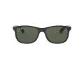 Ray-Ban Andy RB 4202 606971 55 Férfi napszemüveg