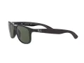 Ray-Ban Andy RB 4202 606971 55 Férfi napszemüveg
