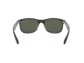 Ray-Ban Andy RB 4202 606971 55 Férfi napszemüveg