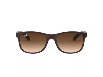 Ray-Ban Andy RB 4202 607313 55 Férfi napszemüveg