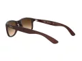 Ray-Ban Andy RB 4202 607313 55 Férfi napszemüveg