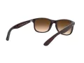 Ray-Ban Andy RB 4202 607313 55 Férfi napszemüveg