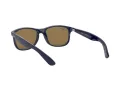 Ray-Ban Andy RB 4202 615355 55 Férfi napszemüveg