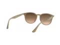 Ray-Ban RB 4259 616613 51 Férfi, Női napszemüveg