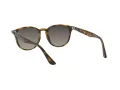 Ray-Ban RB 4259 710/11 51 Férfi, Női napszemüveg