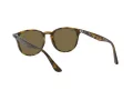 Ray-Ban RB 4259 710/73 51 Férfi, Női napszemüveg