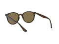 Ray-Ban RB 4305 710/73 53 Férfi, Női napszemüveg